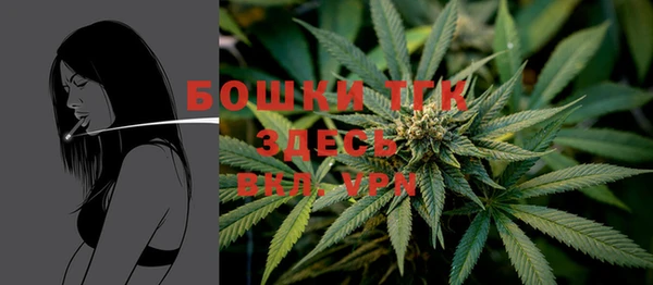 индика Баксан