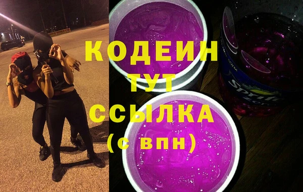 молекула духа Белокуриха