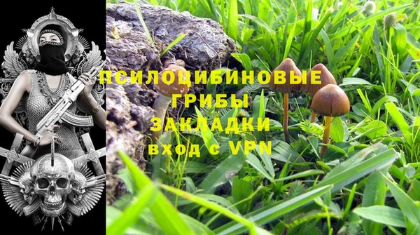 индика Баксан