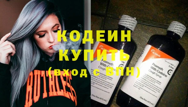 индика Баксан