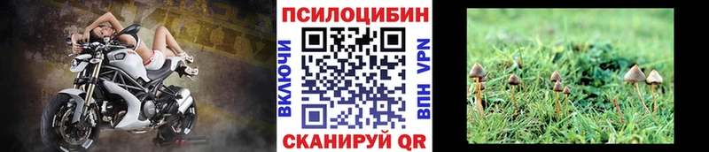 Галлюциногенные грибы Cubensis  Динская 