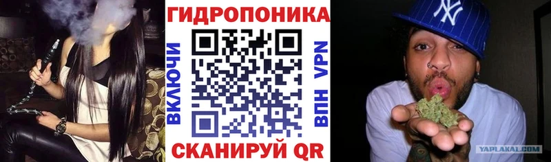 Канабис Amnesia Динская